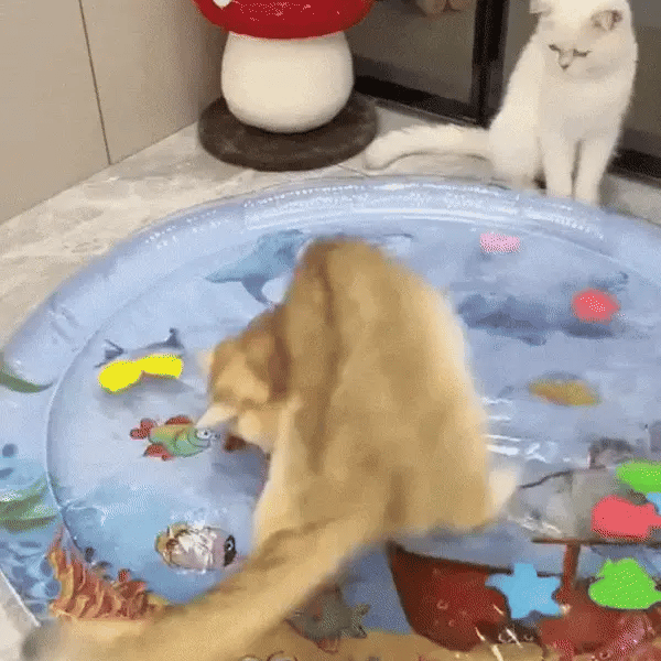 MichiPad® — Tapete interactivo con agua para gatos 🐾 | 50% OFF + Envío GRATIS