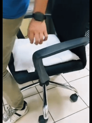 Cojín Gel Para Silla  Egg Sitter® ✅
